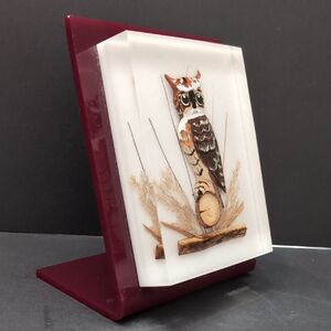 Vintage Lucite Encased Carved And painted Owl In a Maroon Frame.